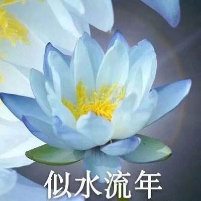 广西壮族自治区河池市委常委、秘书长张联松被查